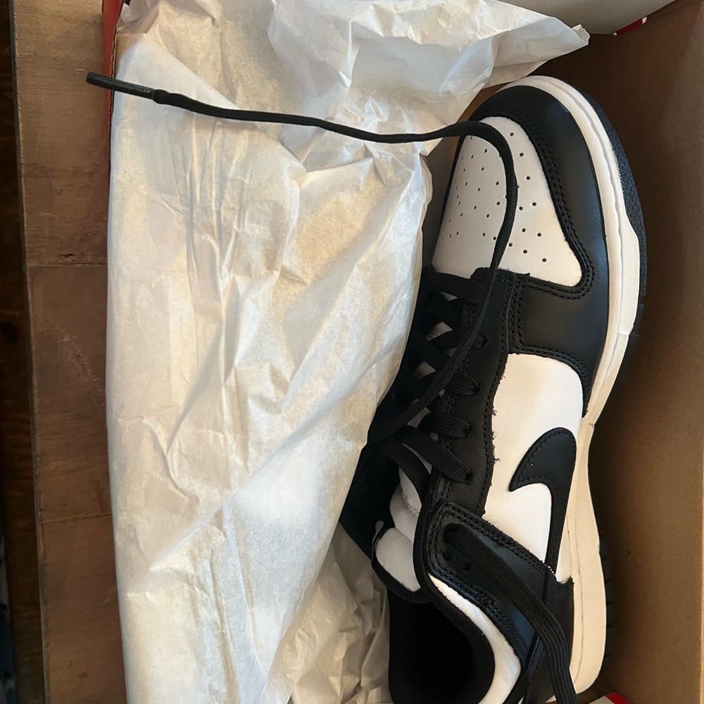 Nike Dunk Low Retro size 10